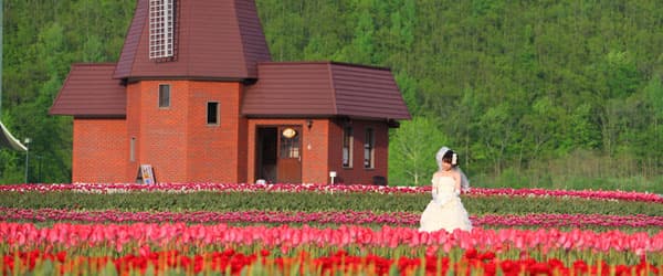 日本國民最愛婚照景點