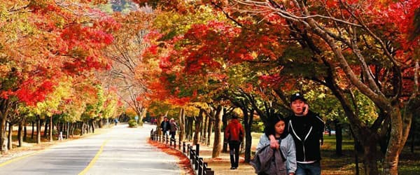 6 大韓楓婚攝勝地（上）